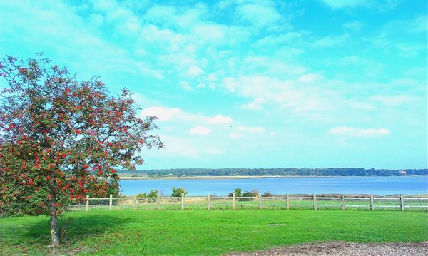 River View