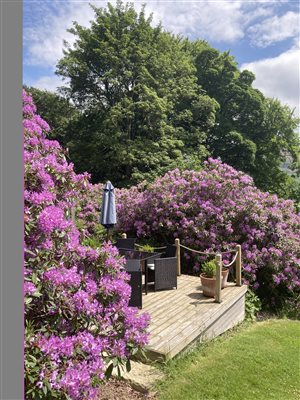 Decking in the garden