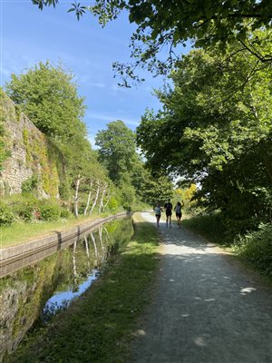 Nearby Experiences