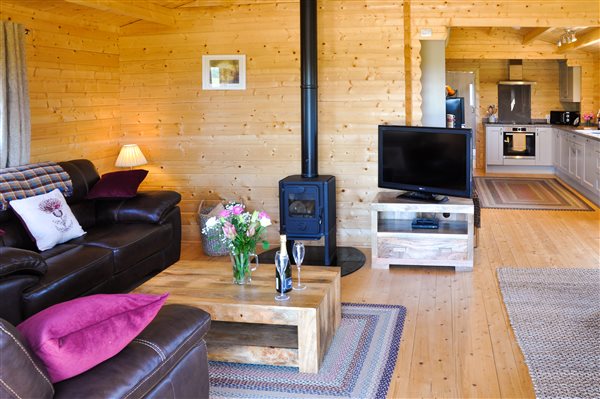 Cosy open plan lounge with log burner