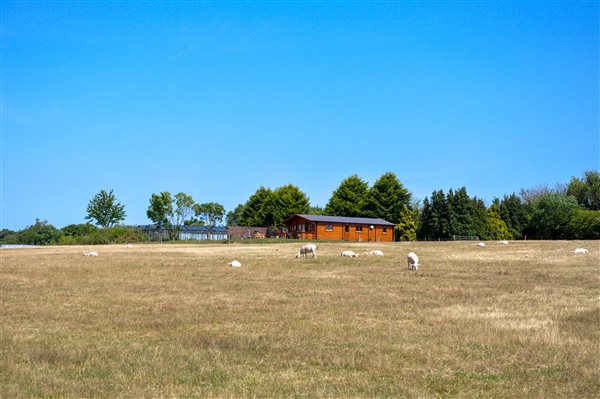 Secluded log cabin on organic farm