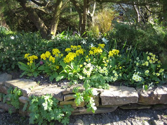 Spring time at Sunset Cottages