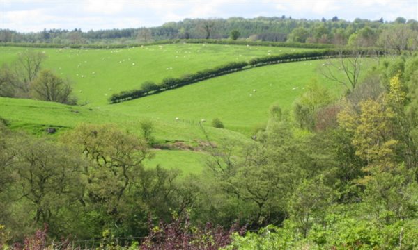 View from Gilling Gap