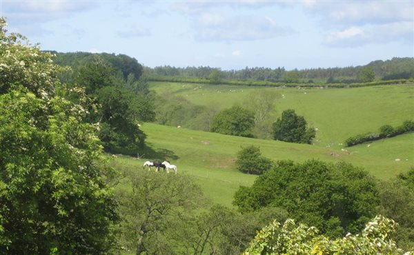 The view from Sunset Cottages