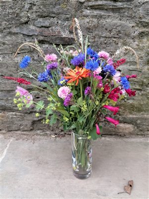Flowers from the garden