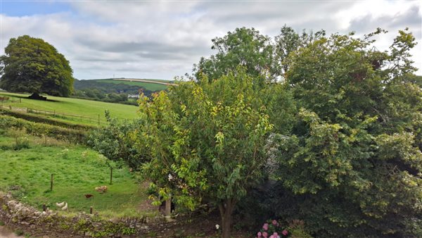 The view from your bedroom window