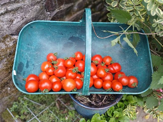 Farm produce used as much as possible when available