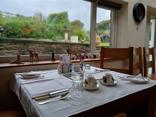 Breakfast Table