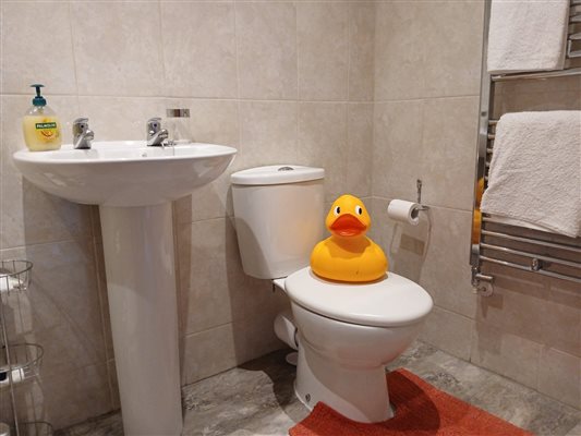 En-suite Bathroom