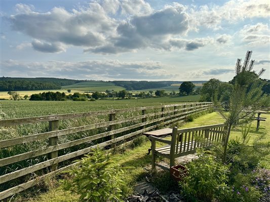 View from bench