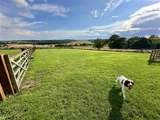 Dog paddock