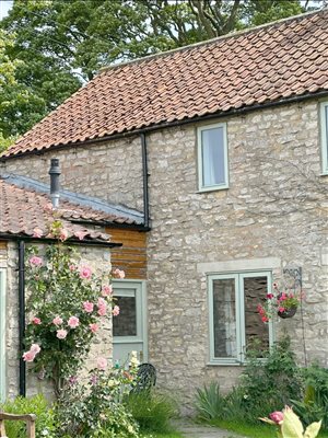 Outdoor view from courtyard garden