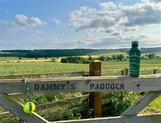 Danny's dog paddock