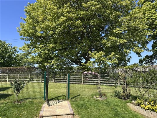 View from garden