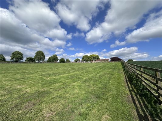 Second dog paddock towards the cottages