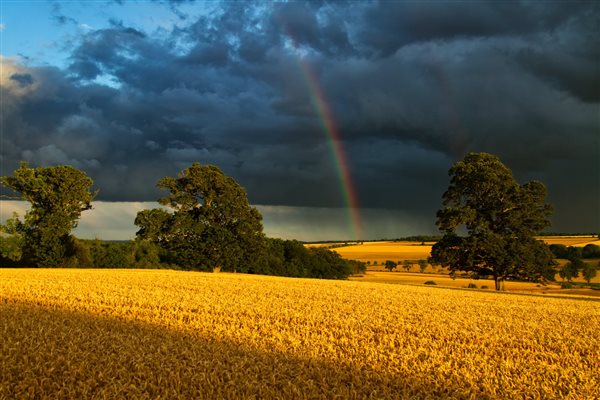 Rainbow view over the Howardian Hills AONB