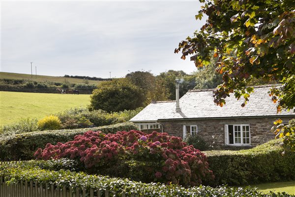 Orchard Cottage