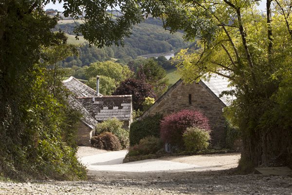 Well and Secret Garden