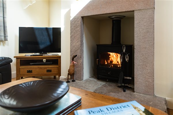 log burning stove