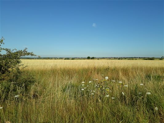 View of the farm