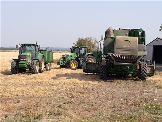 Harvest time with tractors and combine harvester