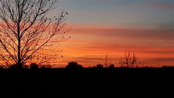 Sunset over farm