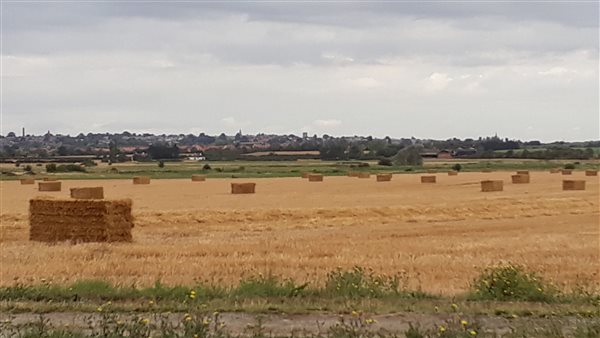 Straw bales on field. View towards Maldon Straw bales on field. View towards Maldon