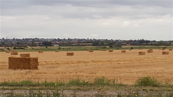 Straw bales on field. View towards Maldon