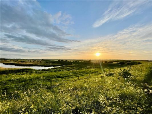 Sunset over the Salt water marshes on the Blackwater on the sea wall in Mundon, near Maldon Sunset over the Salt water marshes on the Blackwater on the sea wall in Mundon, near Maldon
