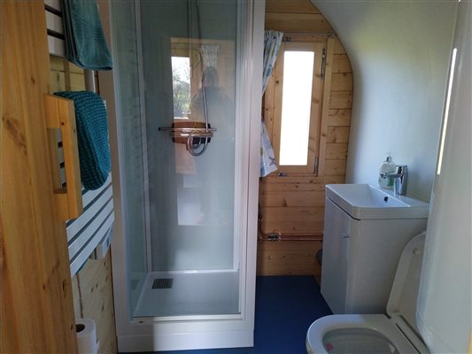 En-suite bathroom with shower, sink, toilet, towel rail and mirror