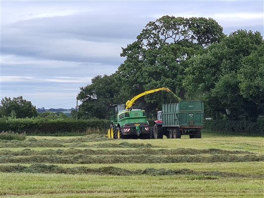 The farm is always busy