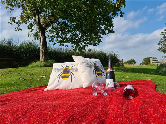 Relax with a picnic in the countryside