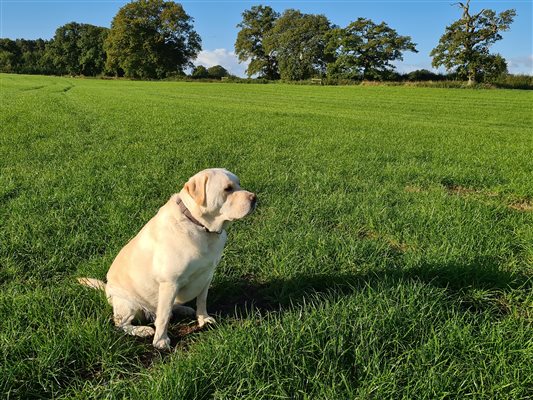 Surrounded by farm land