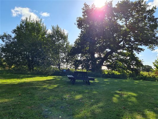 Enjoy a picnic in the Woodland Picnic Ground