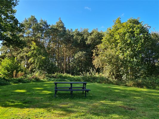 Enjoy the peace and quiet of the Woodland Picnic Ground