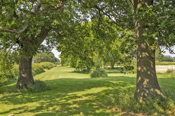 oak acre walk