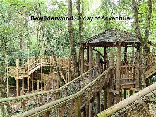 Bewilderwood a family day out