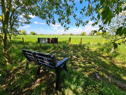 Relaxing in our Bird Watching Area