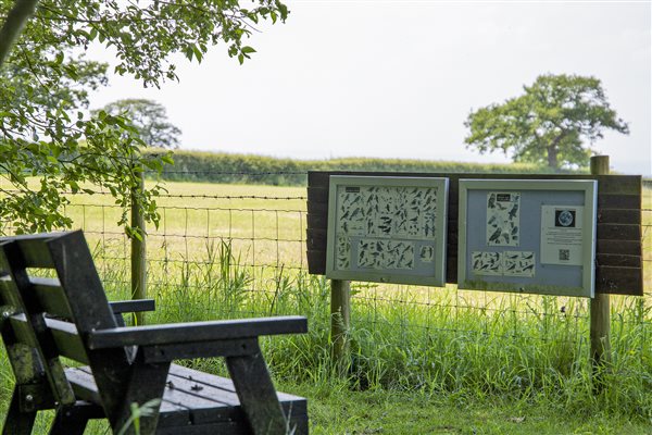Take some quiet time out in our Bird Watching Area