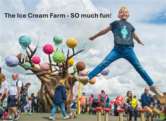 The Ice Cream Farm