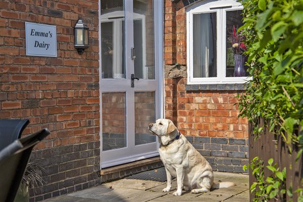 Pet Friendly Cottage