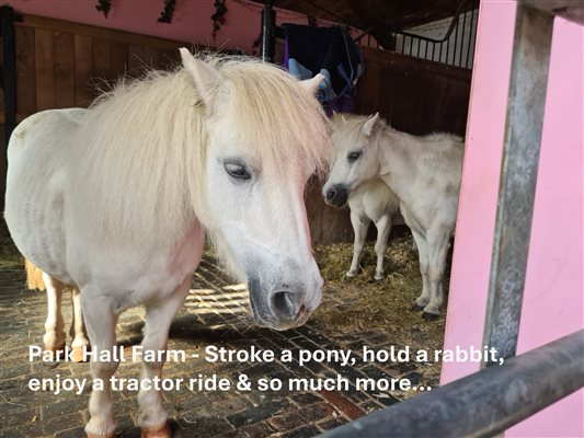 Park Hall Farm is a wonderful Farm experience
