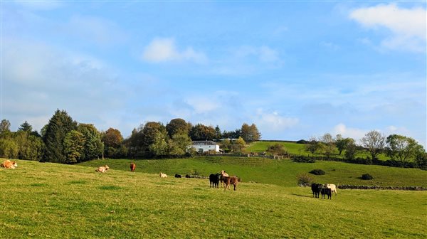 coach house from front field