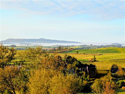 view from top garden