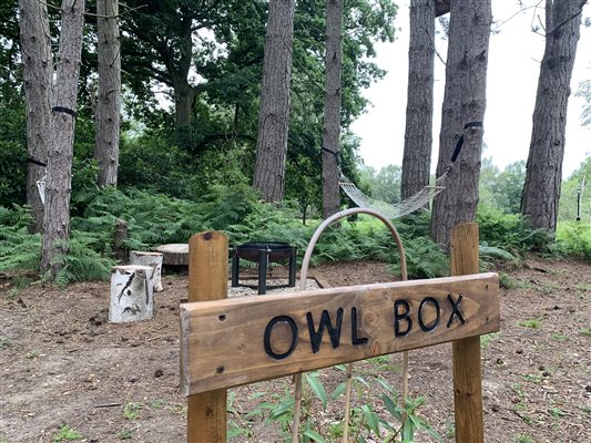 Owl box hammocks and fire pit