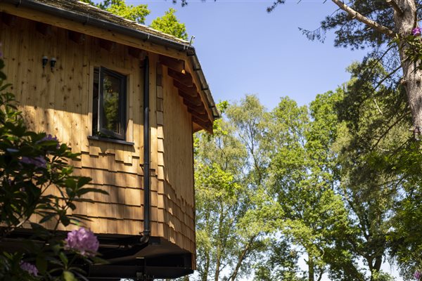 robins nest treehouse