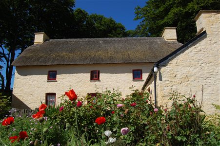 Treberfedd Farm