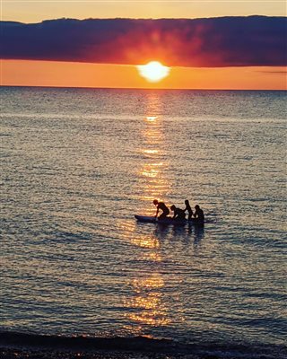 Treberfedd Farm Holiday Cottages Eco Holidays paddleboarding beach