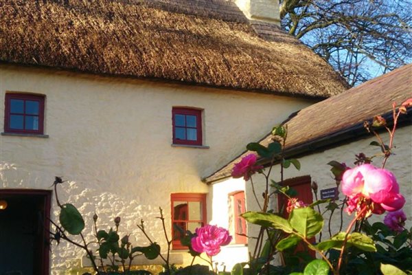 Treberfedd Farm Cottages Thatched roof