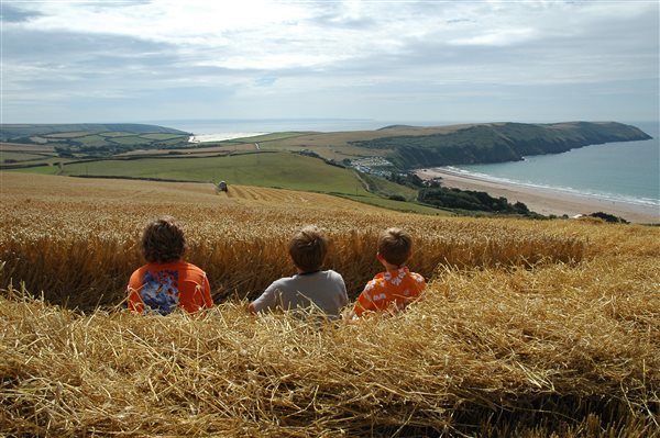 working farm at Croyde Devon